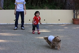 �衼���ɥ�