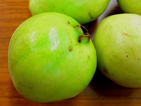 Guava5