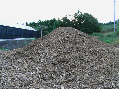 Tsuchi4