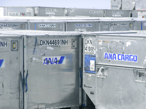 ANA1