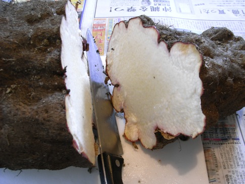 Yamandish2