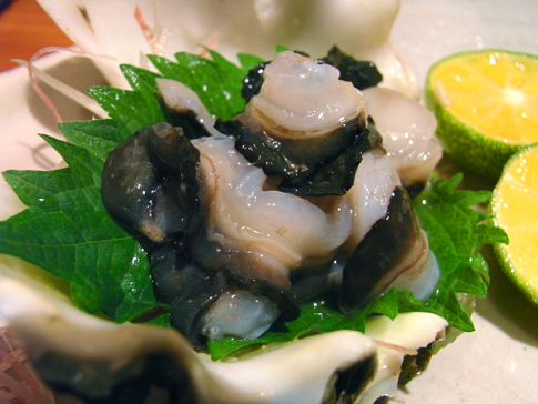 Syakogai4
