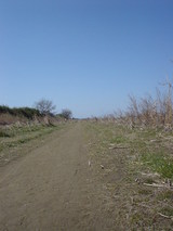 DSC06731