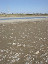 DSC06733