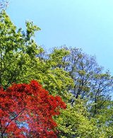 P506iC0001442047.jpg