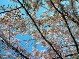 ���ź�0313