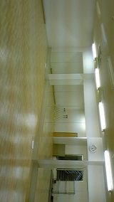 fe47f5b1.jpg