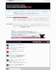 �ǥ����ʡ���(Solid)