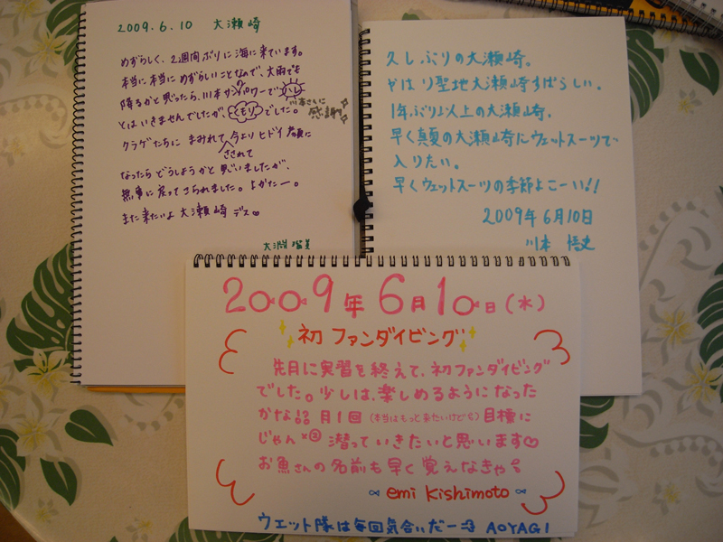 10日感想