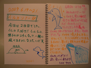 イルカ感想1