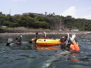 ダイビングいってきます! 8.6真鶴