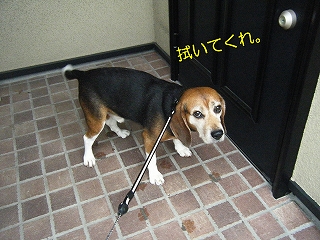 ¿¡¤¤¤Æ¤¯¤ì¡£