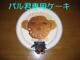 �ѥ뷯���ѥ�������