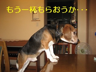 ¤â¤¦°ìÇÕ¤â¤é¤ª¤¦¤«Ž¥Ž¥Ž¥