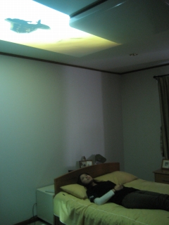 ŷ�椬�����꡼��