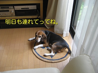 ������Ϣ��ƤäƤ͡�