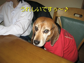 ¤¦¤ì¤·¤¤¤Ç¤¹¢ö