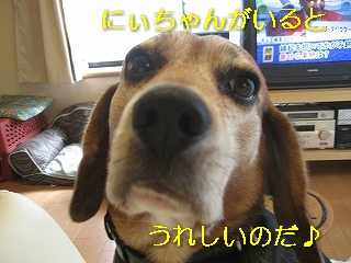 ¤¦¤ì¤·¤¤¤Î¤À¢ö