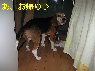 ¤¢¡¢¤ªµ¢¤ê¢ö