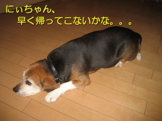 Á᤯µ¢¤Ã¤Æ¤³¤Ê¤¤¤«¤Ê¡£¡£¡£