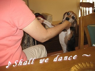 ¢öShall we dance ¡Á