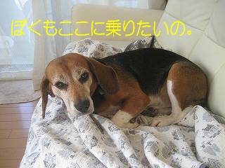¤Ü¤¯¤â¤³¤³¤Ë¾è¤ê¤¿¤¤¤Î¡£