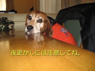 �빹�����ˤ����դ��Ƥ�