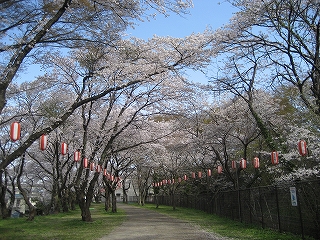 ºù¤Î»¶ÊâÆ»