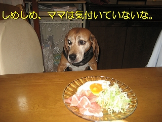 ���ᤷ�ᡢ�ޥޤϵ��դ��Ƥ��ʤ��ʡ�