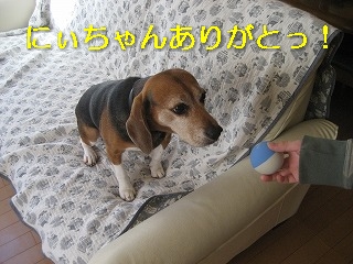�ˤ�����󡢤��꤬�Ȥá�