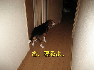 ¤µ¡¢¿²¤ë¤è¡£