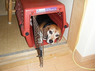 âÔÁÛ½ªÎ»¡©¡ª