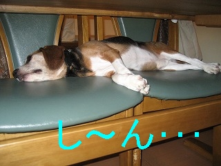 ¤·¡Á¤óޥޥޥ