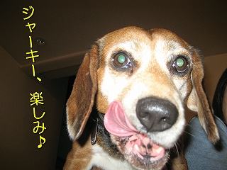 ¥¸¥ã¡¼¥¡¼¡¢³Ú¤·¤ß¢ö