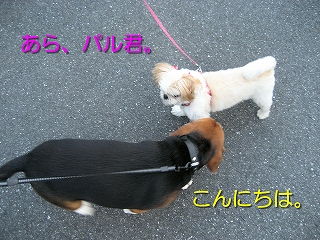 ¥¦¥á¤Á¤ã¤ó¤È¤´°§»¢