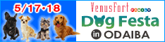 �ɥå��ե�����