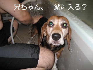 ��������������롩