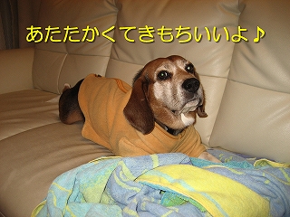 ¤¢¤¿¤¿¤«¤¯¤Æ¤¤â¤Á¤¤¤¤¤è¢ö
