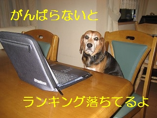 ¤¬¤ó¤Ð¤é¤Ê¤¤¤È¥é¥ó¥¥ó¥°Íî¤Á¤Æ¤ë¤è