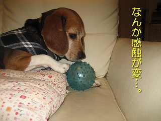 �ʤ󤫴������ѡ�