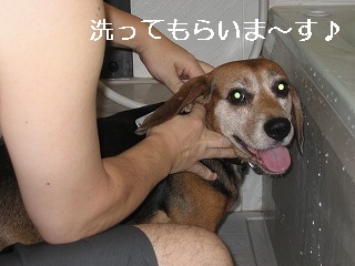 ���äƤ�餤�ޡ�����