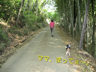 �ޥޡ��ޤäơ�