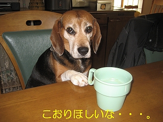 ¤³¤ª¤ê¤Û¤·¤¤¤Êޥޥޥ¡£