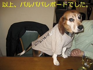 °Ê¾å¡¢¥Ñ¥ë¥Ñ¥Ñ¥ì¥Ý¡¼¥È¤Ç¤·¤¿¡£