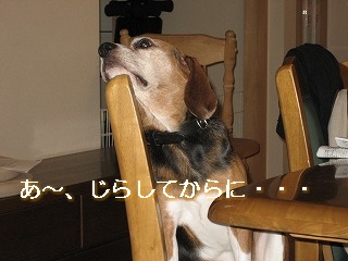 ���������餷�Ƥ���ˎ�����