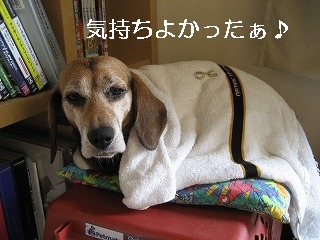 �������褫�ä�����