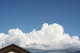 20090803_1563