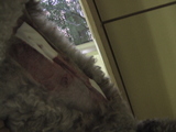 f72d7a10.JPG