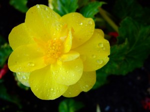 200909canada 084