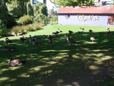 200909canada 041